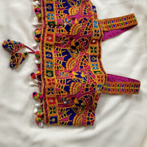 ✨Rang Raas Mirror Blouse